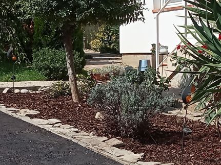 Cinege Apartman5