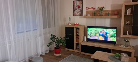 Emily Apartman16