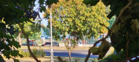 Balatonka Apartman34