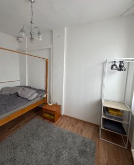 Vintage Cozy Apartman8