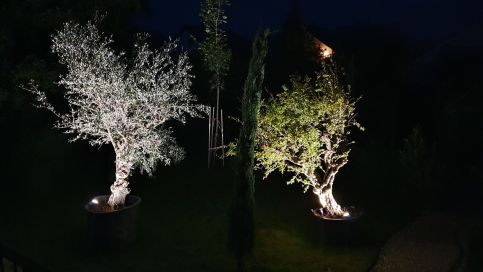 Villakali4