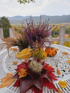 Fecskefészek Vendégház  Dunakanyar35