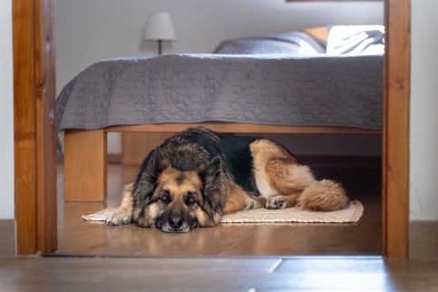 Tagyon Birtok Kései Szüret Apartmanház5