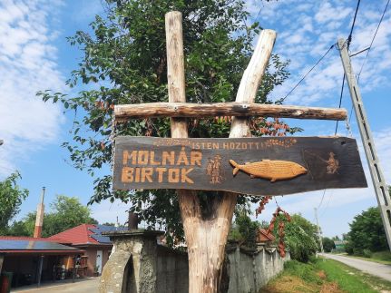 Molnár Birtok8