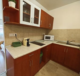 Szilfaliget Apartman10