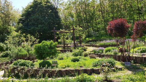 Fonte Salis Apartman80