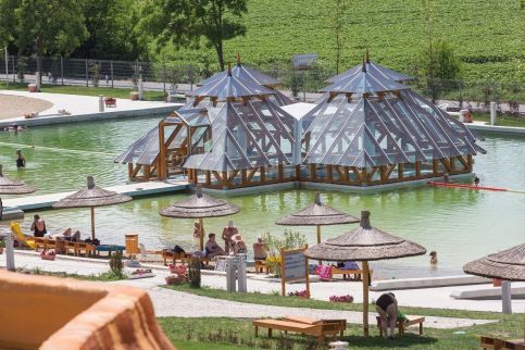 Fonte Salis Apartman81