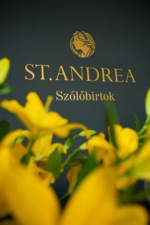 Fonte Salis Apartman84