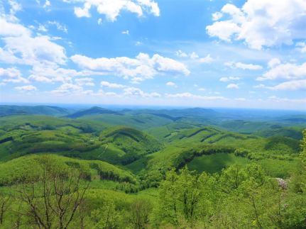 Fonte Salis Apartman93