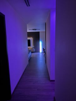 Flex Apartments20