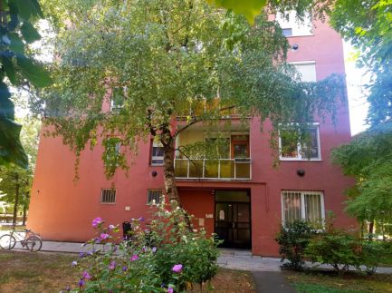 Jucus Apartman10