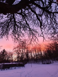 Bakonyi Vénkörte Vendégház11