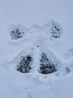 Bakonyi Vénkörte Vendégház14