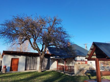 Bakonyi Vénkörte Vendégház27