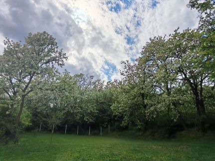 Bakonyi Vénkörte Vendégház62