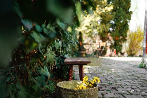 Fehér Ház Vendégház3