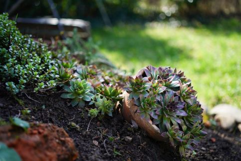 Fehér Ház Vendégház8