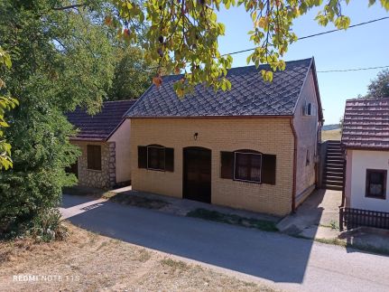 Andy's House