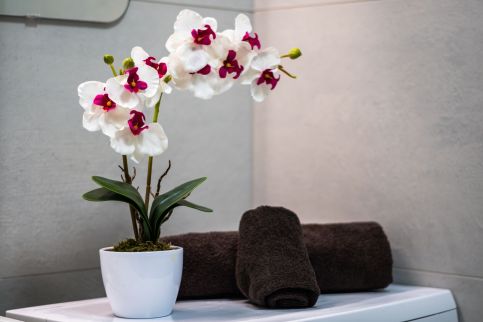 Dorn Aqua Apartman14