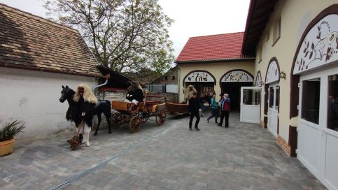 KultúrKikötő Hostel7