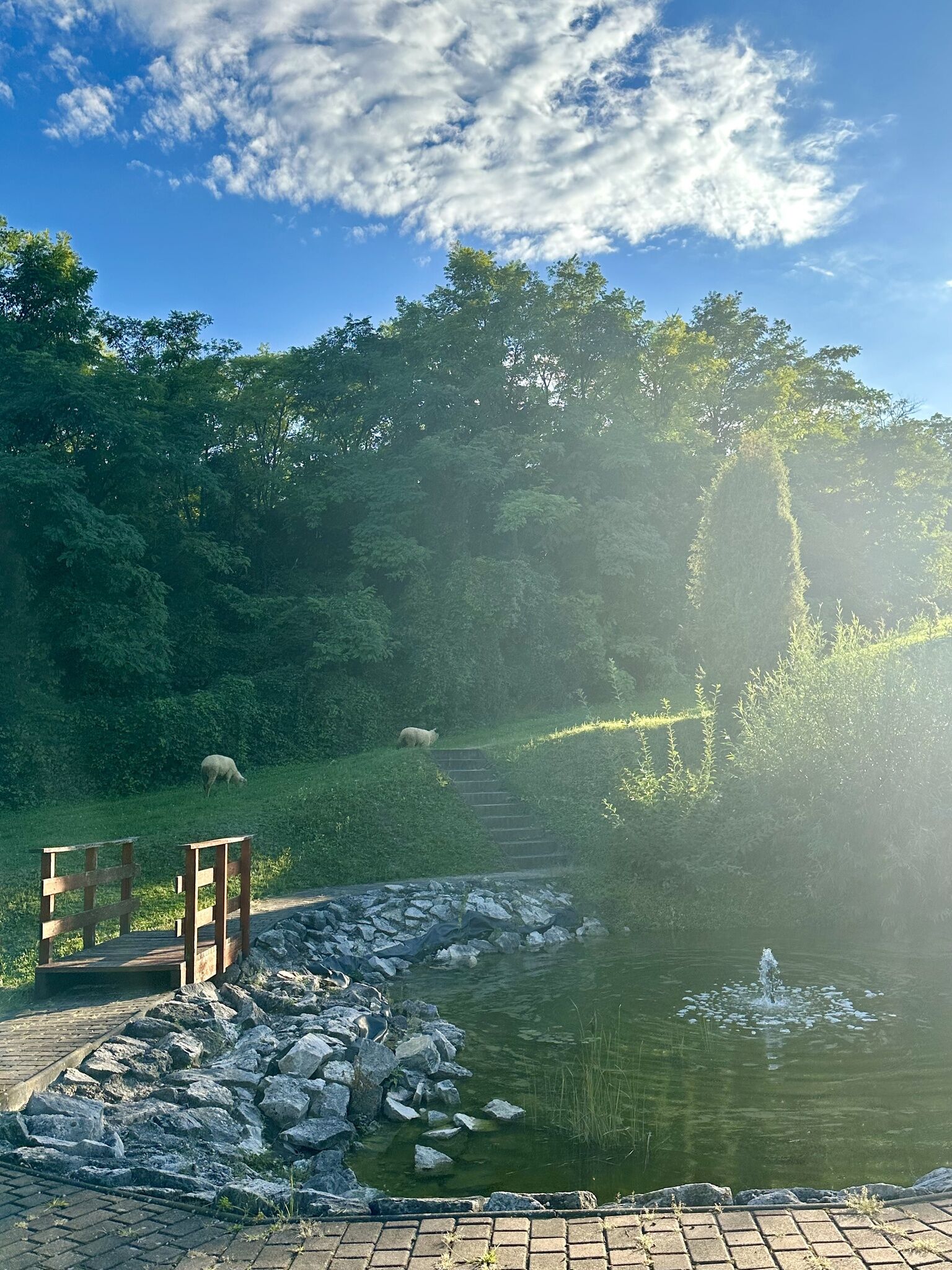 Gerecse View Apartman – Dunaszentmiklós fotó 23