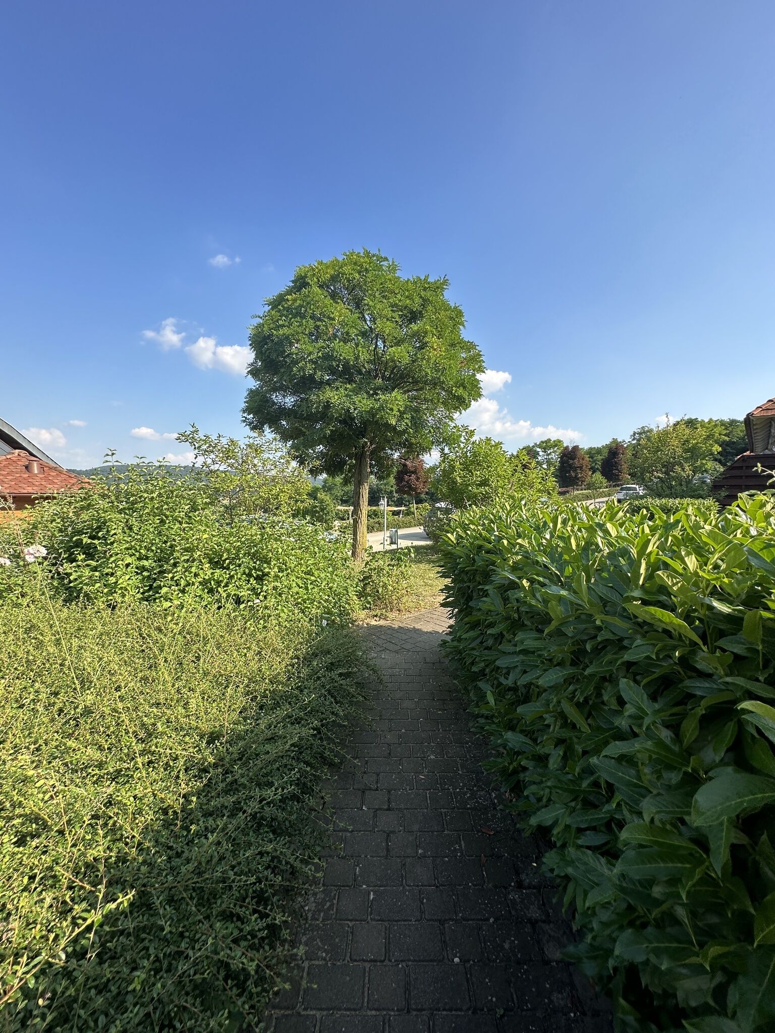 Gerecse View Apartman – Dunaszentmiklós fotó 26