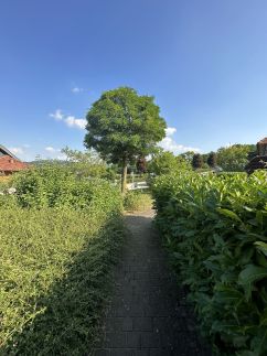 Gerecse View Apartman27