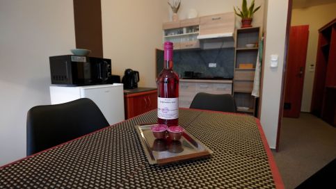 Constantia Wellness Apartman6