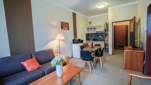Constantia Wellness Apartman8