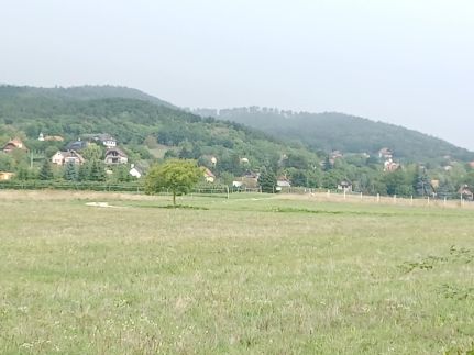 Napsugár Apartman4