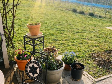 Pinot Gris House Vendégház10