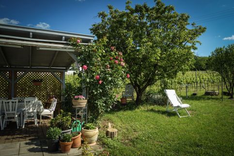 Pinot Gris House Vendégház1