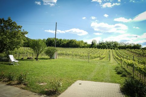 Pinot Gris House Vendégház3