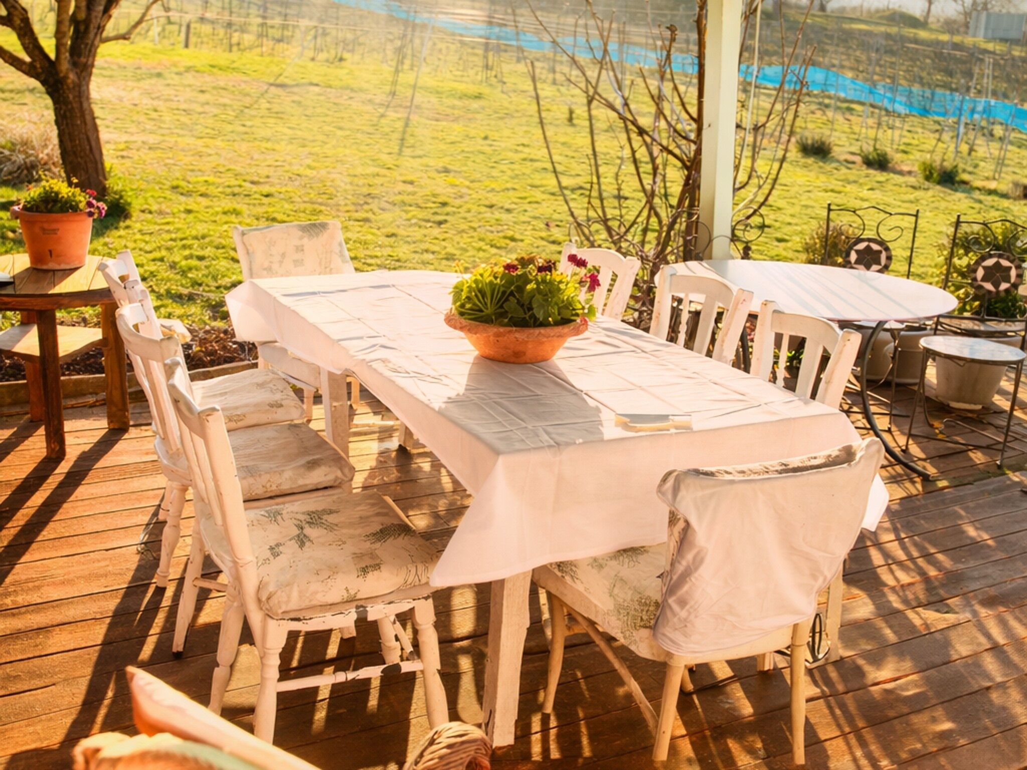 Pinot Gris House Vendégház – Káptalantóti fotó 9