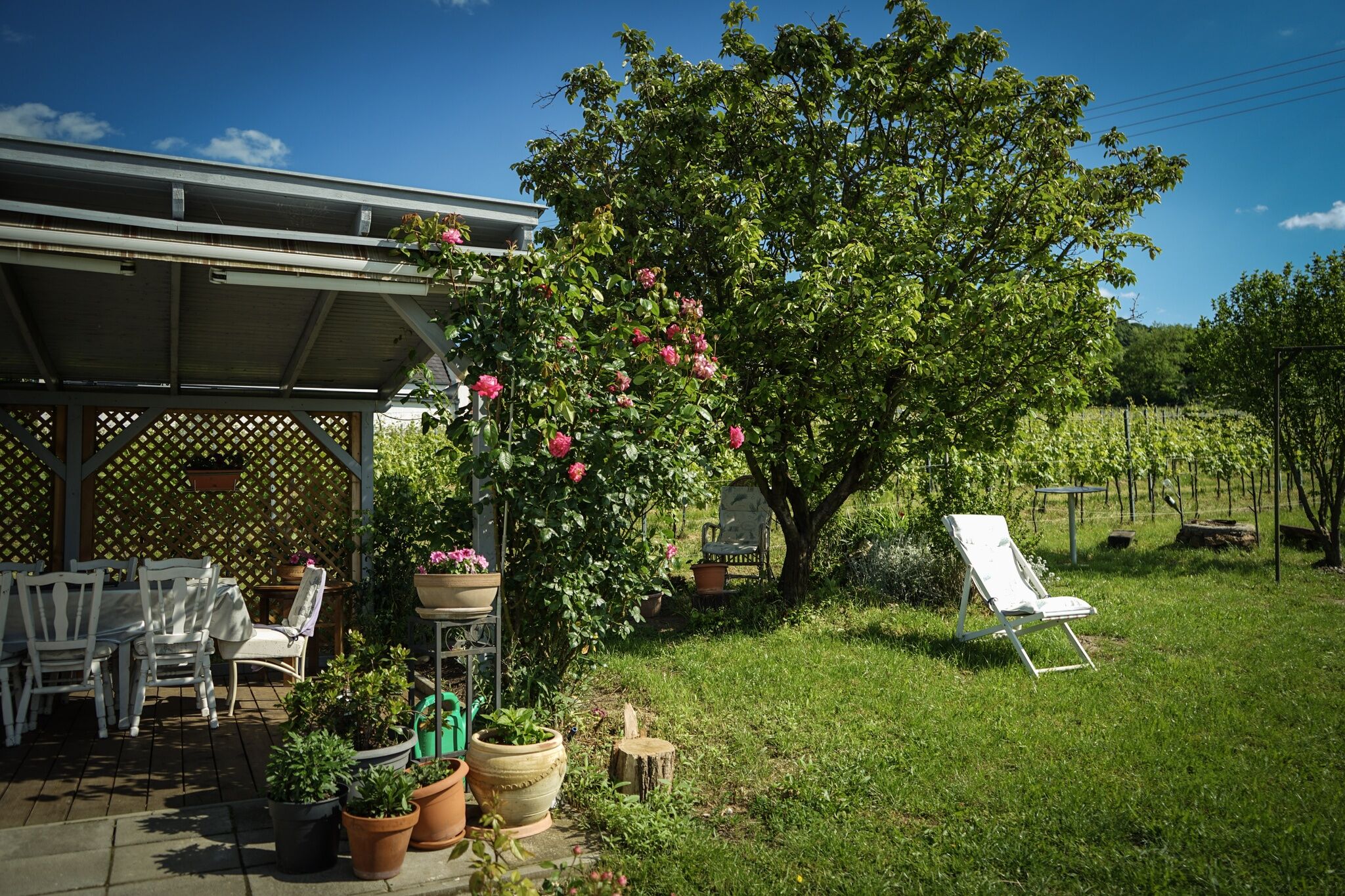 Pinot Gris House Vendégház – Káptalantóti fotó 1