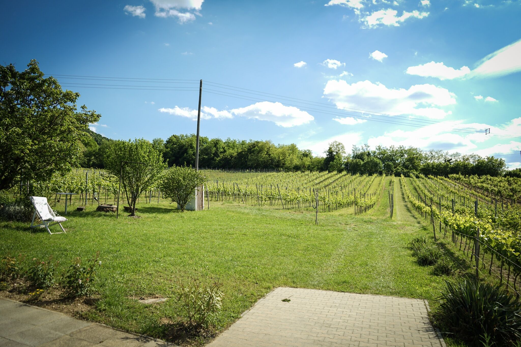 Pinot Gris House Vendégház – Káptalantóti fotó 2