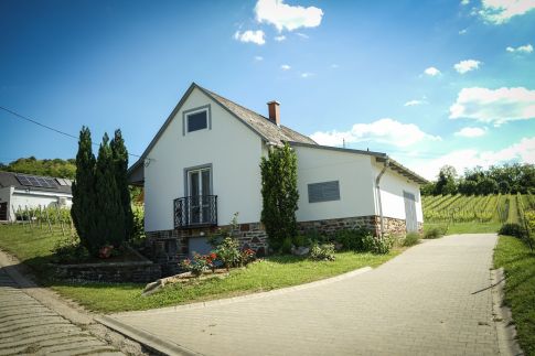 Pinot Gris House Vendégház