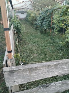 Pacsirta Vendégház16