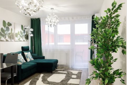 Sixties Elite Apartman4