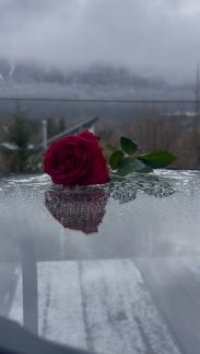 My Wood Cabin - Mokka46