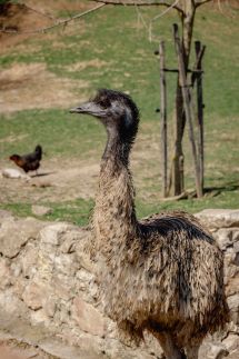 Török Vendégház - Villány Outback9