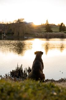 Panoráma Horgászház23