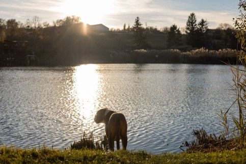 Panoráma Horgászház24