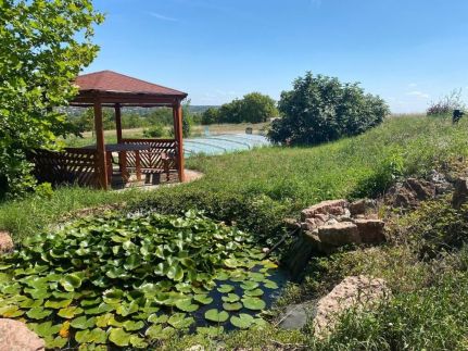 Szelek Palotája Vendégház11