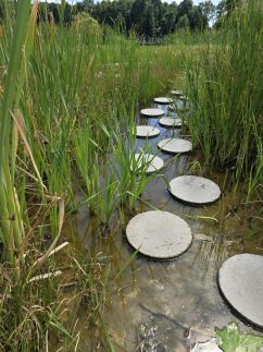 Igazgyöngy Apartman4