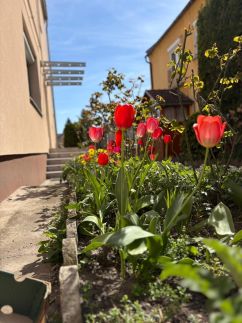 Malomfészek Apartman8