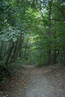 Vadregény Vendégház10