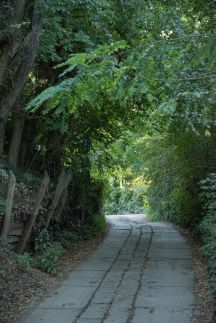 Vadregény Vendégház3