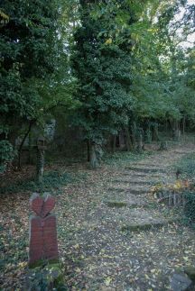 Vadregény Vendégház5