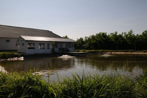 Napsugaras Birtok17